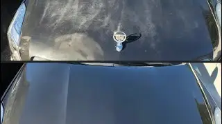 Всё, что вам нужно знать о Shiny Car Stuff (почти)
