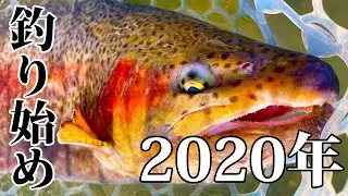【エリアトラウト】2020年の釣り始めは『FISH UP 秋川湖』で大物狙い！/ The beginning of fishing in 2020 is 