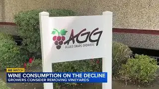 Growers consider removing vineyards as wine consumption declines