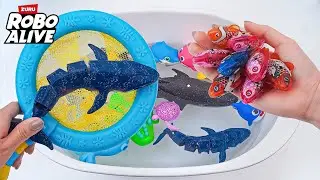 🦈toy asmr🦈 Remote Control Whale, White Shark, Fish, Turtle ASMR 🐠 Satisfying Unboxing Toys
