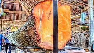 From Giant Mahogany Log to Stunning Mahogany Planks at the Sawmill 🌲🪵