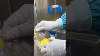 Mycobacterium tuberculosis lab practice in Microbiology TB laboratory (GeneXpert)