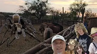 The Luxurious Tanque Verde Ranch Resort: Our Unforgettable Getaway