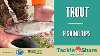 Trout Fishing Tips | OFAH Under the Lock Fishing Derby