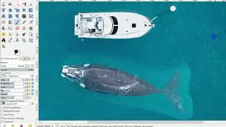 photocomposition d'une baleine pr&egrave;s du bateau avec GIMP focus teinte et saturation couleurs proches