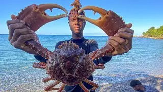 Giant King Crab | Catch Clean N&rsquo; Cook