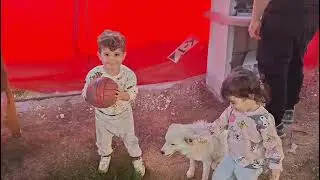 Liva soğan ekiyor