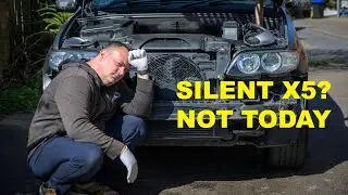 No More Beeping! Fixing My BMW X5&rsquo;s Parking Sensors