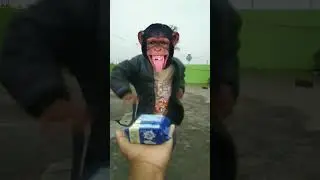 bhagam bhagam 😍😃😝👽😆😮 #funny
