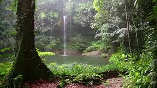 Meditation Rain with Relaxing Nature Sound in Bali, Indonesia