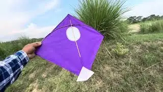 Caught kite in forest | kite catching kite looting