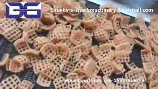 Jinan DG Continuous Fryer Plant/Snack Pellet Frying Machine