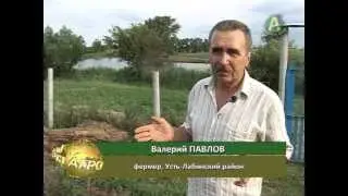 Планета АГРО   выпуск 34