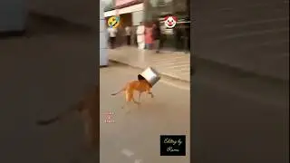 #tamil #comedy #funny #shortvideo #viralvideos