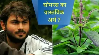 सोमरस क्या होता है? what is somaras. by- Sandeep arya