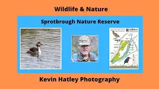 Sprotbrough Flash Nature Reserve