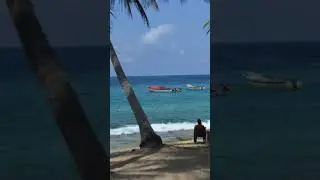 #PlayasdeVenezuela #PlayasdeAragua #LaCienaga #Cepe #Choroni