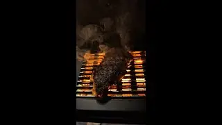 Wagyu steaks and the Prime 2.0 side burner 😍 #searedsteak #wagyu #pelletgrill
