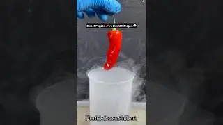 Sweet Pepper 🌶️ vs Liquid Nitrogen 🌧️#Satisfying #Experiment #Science #ASMR #LiquidNitrogen