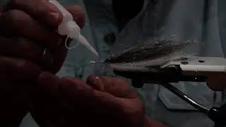 FINGER MULLET