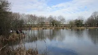 Can I catch a carp in the middle of winter at my local pond? 
