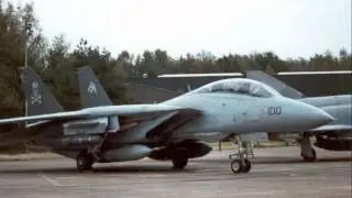 Tribute to the Squadrons that fly under the Skull and Cross Bones