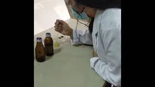 Uji BSLT