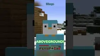 Minecraft, But If I Tell The Truth The Video Ends