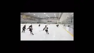 Ashlynne Brown/U18AA Hockey/#9/Video 2