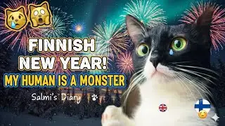Первый Финский Новый год моей британской кошки! 🇫🇮😱