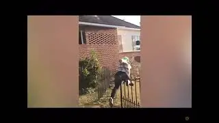 The lion sleeps tonight meme compilation, but read the description.