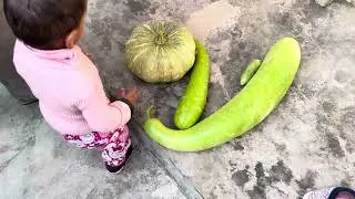 Apne Khet ki Sabzi 🍅🥬🥬
