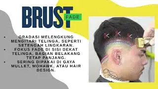perbedaan antara taper fade, low taper fade, mid taper dan  temple taper secara jelas dan singkat: