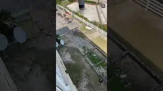 Beer drop
