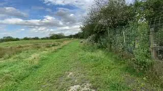 Field 1 - Private Secure Field Hire For Dogs