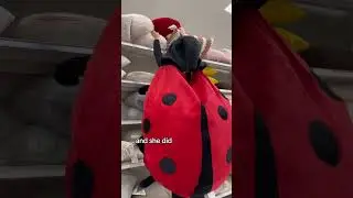 big bug pillow over everything #wearablepillow #giantladybug #giantgift #comfy #bigbugpillow