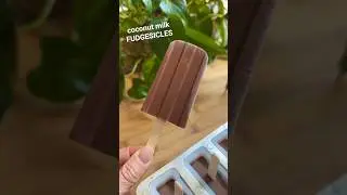Healthy Fudgesicles With Coconut Milk