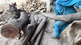 You Won&rsquo;t Believe How This Giant Tree Stump Became a Table! 😲