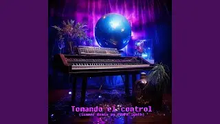 Tomando el control (feat. Para&iacute;so Seis) (Summer Remix)