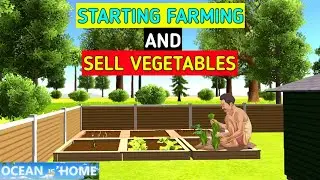 STARTING FARMING AND SELL VEGETABLES | OCEAN IS HOME ISLAND LIFE SIMULATOR GAME #6