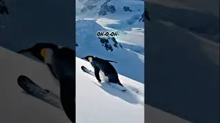 For The Mountains #penguin #viral #trending #foryou #fyp #mountains #reels #song #spotify #youtube