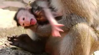 OMG ! Dee Dee Doesn't know How to nurse Her first time Baby look like wrong Way.
