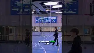 SeaPlex: Royal Caribbean's Anthem of the Seas Sports Hub #shorts