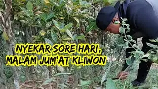 V x5 sedang live sekarang! ngebolang dulu guys #villagelife