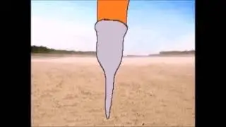 Cell absorb majin Bra
