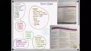 OCR A LEVEL BIOLOGY - UNIT 2.6 | CELL DIFFERENTIATION, ORGANS AND STEM CELLS