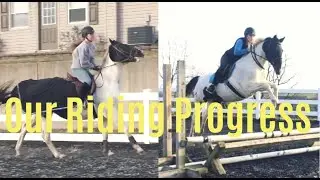 One Year of Progress with My Horse, Sassy!!