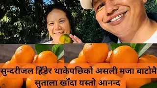 🤩सुन्दरीजल हिँडेर थाकेपछिको असली मजा 🤤 | बाटोमै सुताला खाँदा यस्तो आनन्द !”