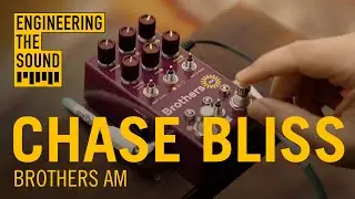 Chase Bliss: Brothers AM Pedal | Full Review and Demo