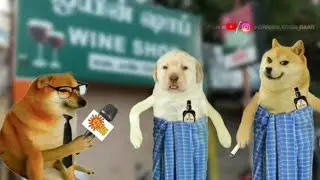 😂 cheems weekly news | Doge | Perro | Tamil comedy | #cheems | #cheemstamil | News troll | Fun news